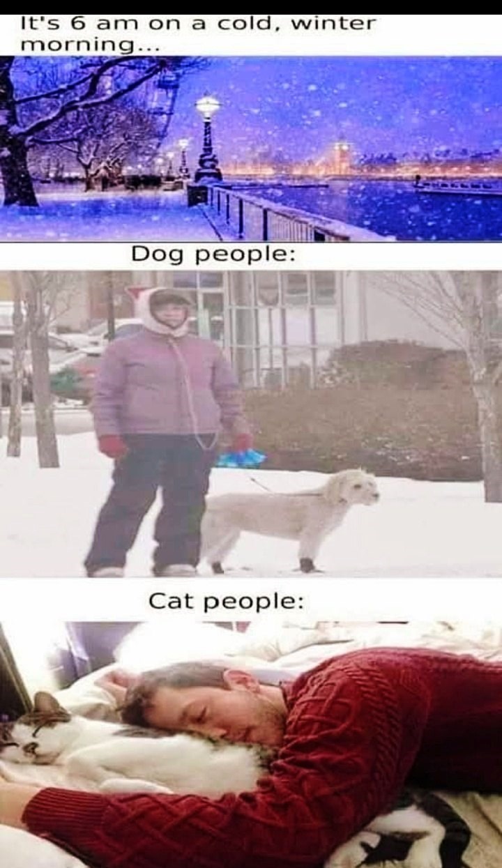 s-6-am-on-cold-winter-morning-dog-people-cat-people