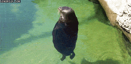 spinning-seal