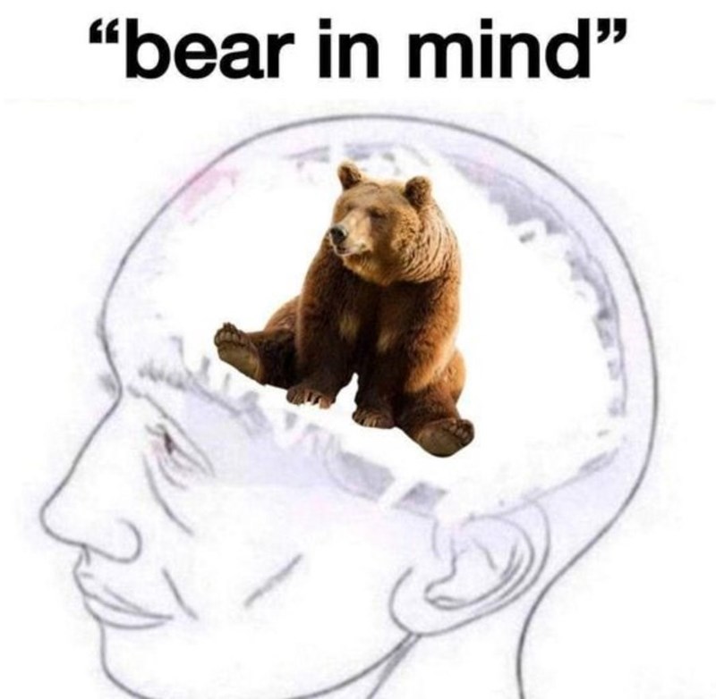bear-mind