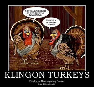 thanksgiving-funny-pictures-fl66gbtqm7h9f2tv.webp