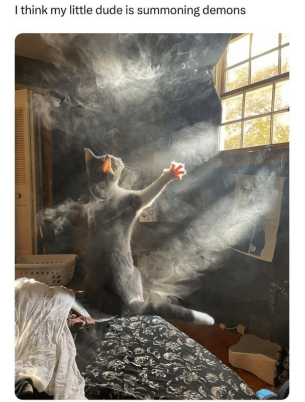 think-my-little-dude-is-summoning-demons