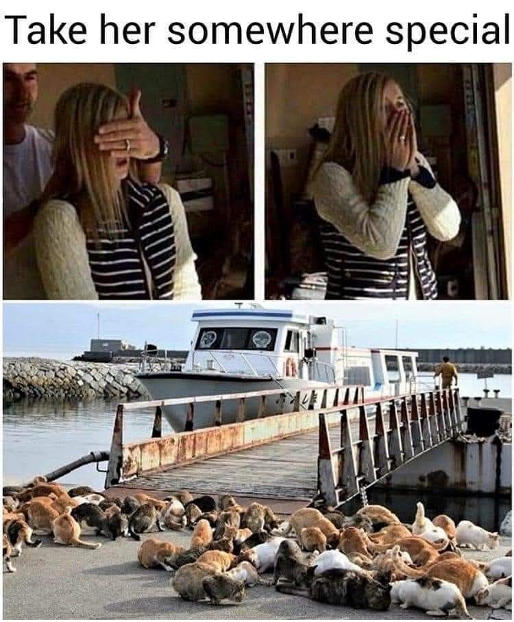 take-her-somewhere-special