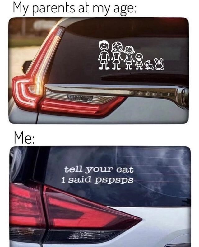 my-parents-at-my-age-tell-cat-said-pspsps