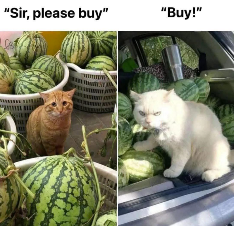 sir-please-buy-68-buy