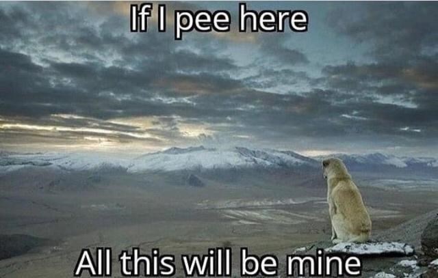 if-pee-here-all-this-will-be-mine