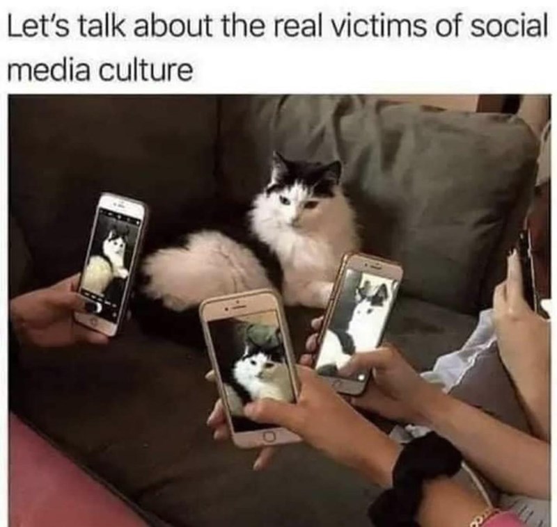 lets-talk-about-real-victims-social-media-culture