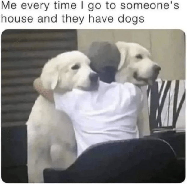 every-time-go-someones-house-and-they-have-dogs