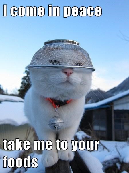 i-come-in-peace-take-me-to-your-foods