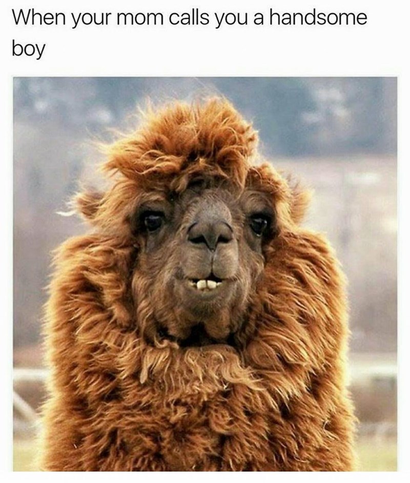 mom-calls-handsome-boy