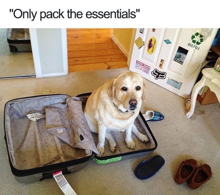 only-pack-essentials-guards-4-life-recycle