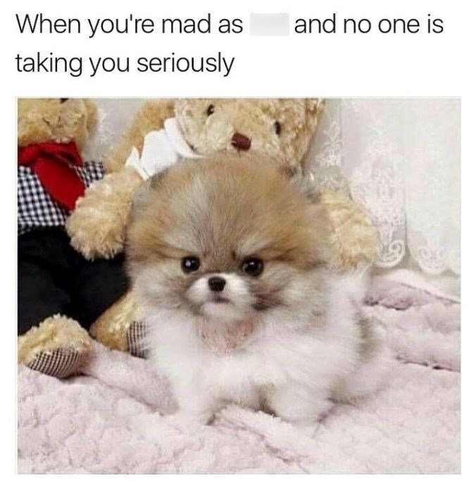 mad-as-taking-seriously-and-no-one-is