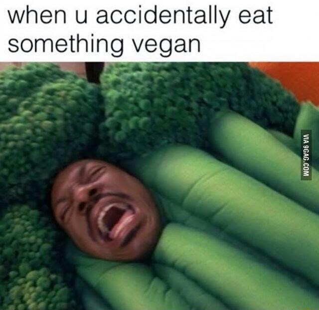 u-accidentally-eat-something-vegan-via-9gagcom