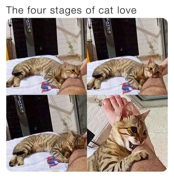 matic-four-stages-cat-love-atic-omatic