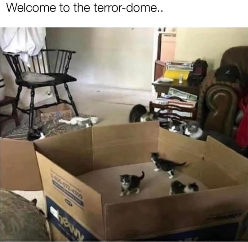welcome-terror-dome-c