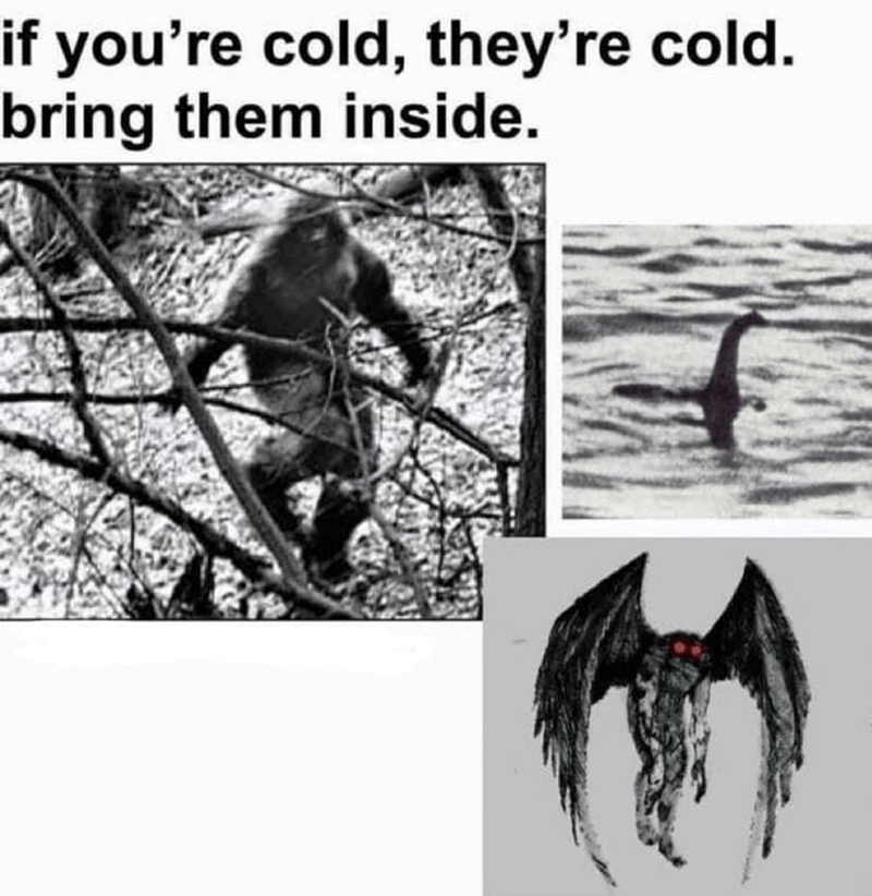 if-cold-theyre-cold-bring-them-inside
