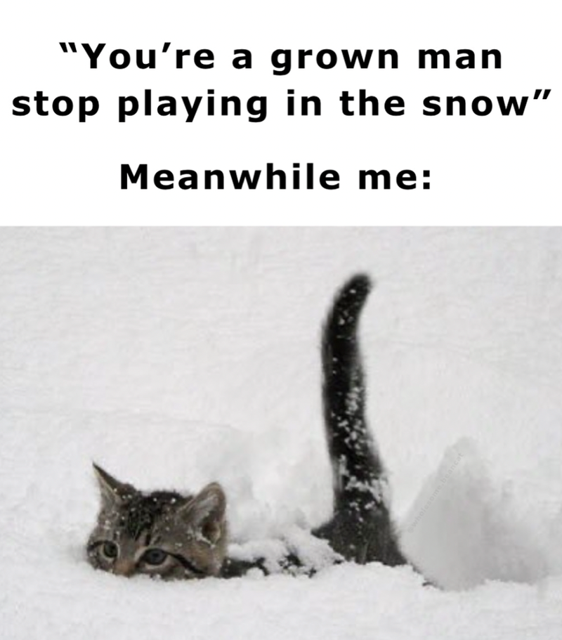 grown-man-stop-playing-snow-meanwhile