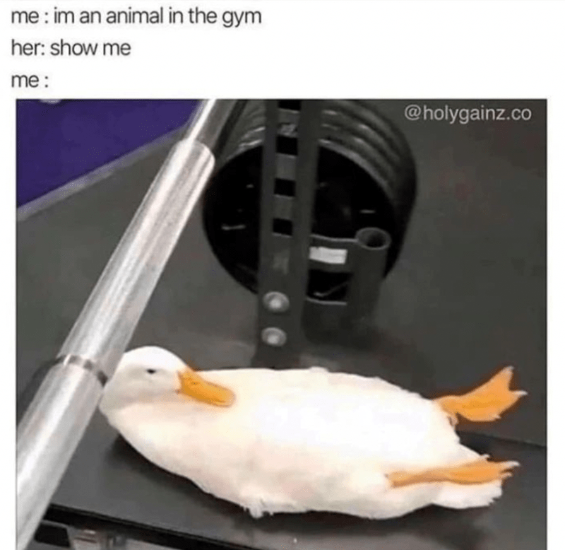 im-an-animal-gym-her-show-holygainzco