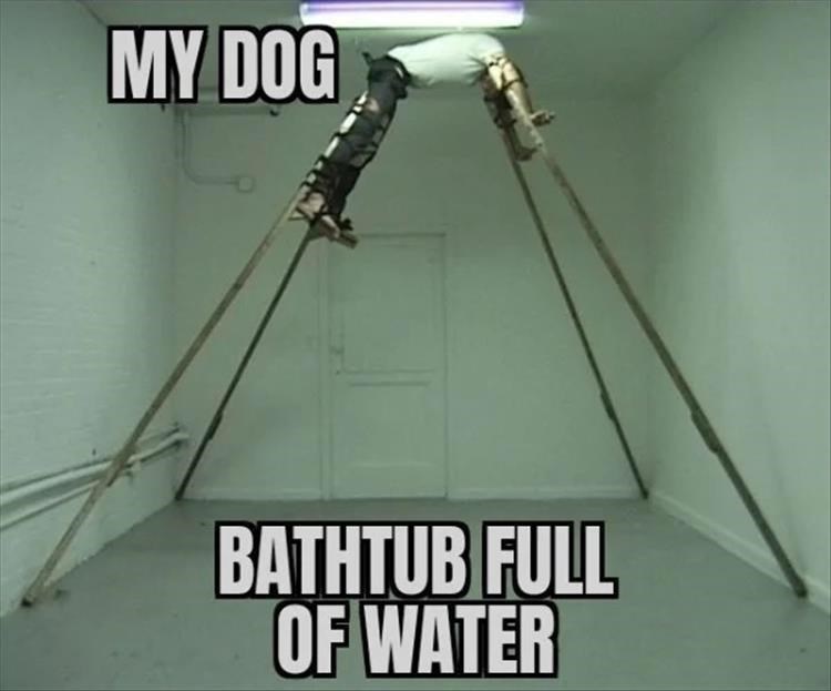 lighting-my-dog-bathtub-full-water