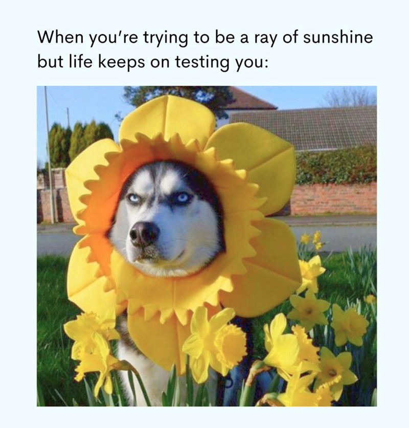 trying-be-ray-sunshine-but-life-keeps-on-testing