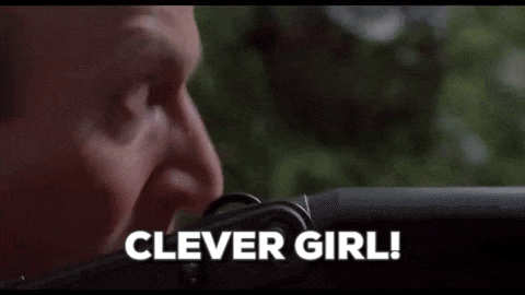 clever-girl-gif-16.gif