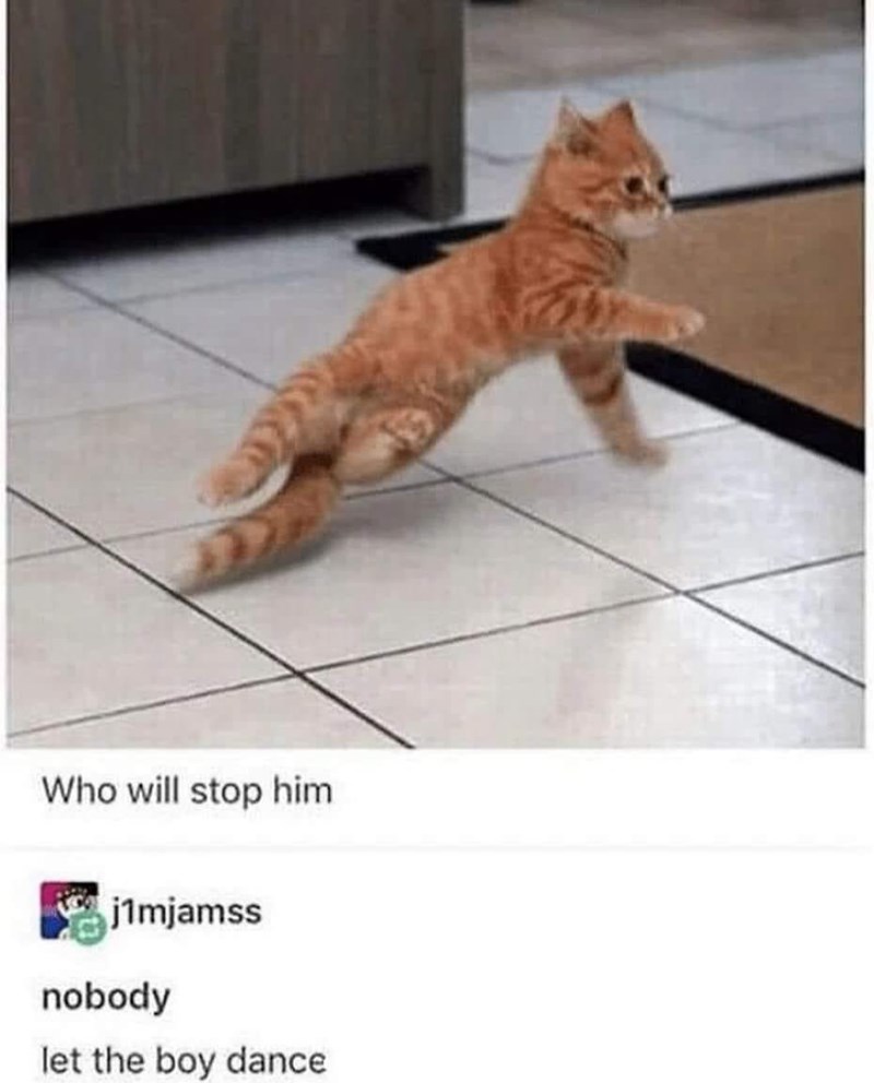 who-will-stop-him-j1mjamss-nobody-let-boy-dance