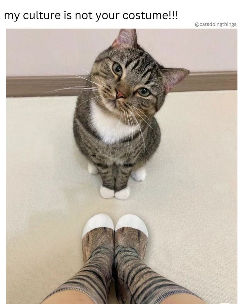 my-culture-is-not-costume-catsdoingthings