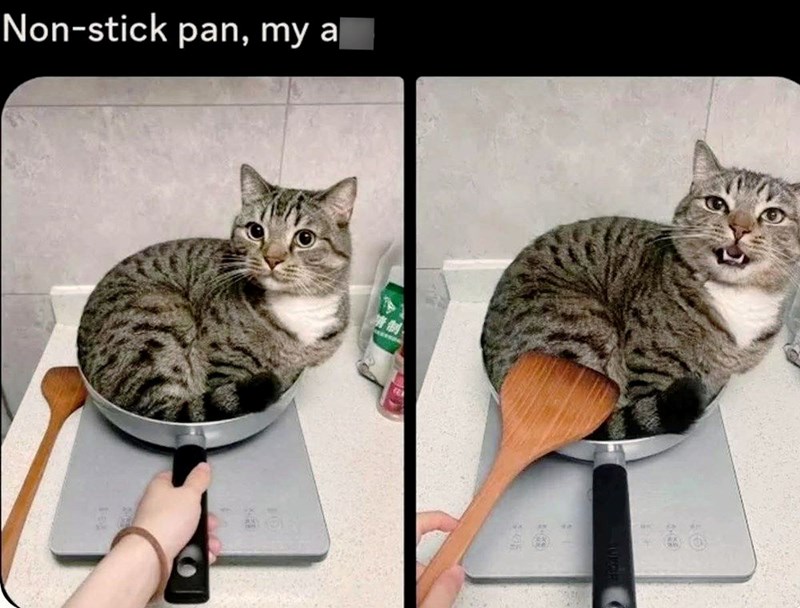 non-stick-pan-my-ass