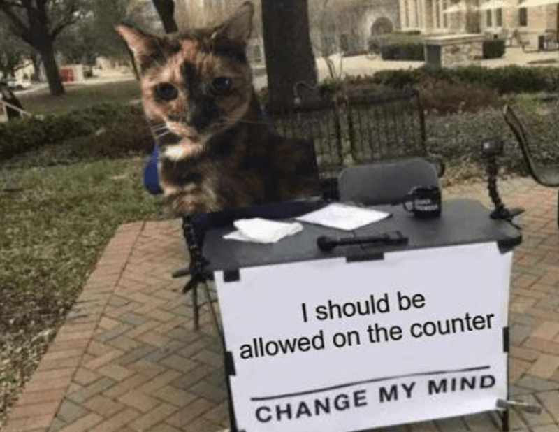 should-be-allowed-on-counter-change-my-mind