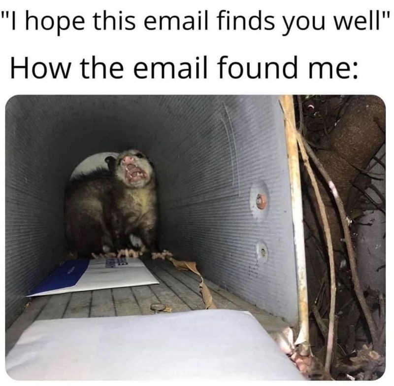 hope-this-email-finds-well-email-found