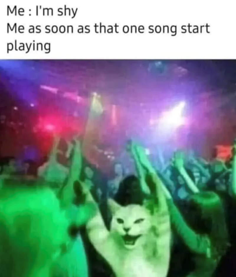 shy-as-soon-as-one-song-start-playing