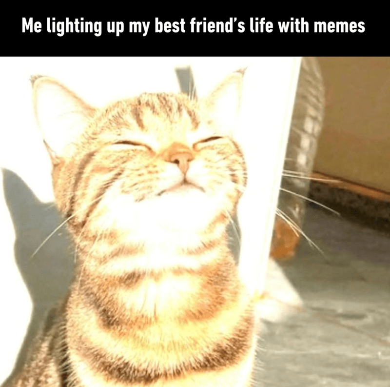 lighting-up-my-best-friends-life-with-memes