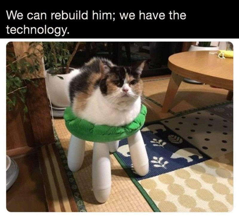 can-rebuild-him-have-technology