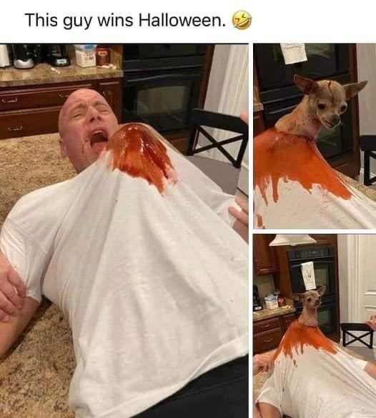 this-guy-wins-halloween