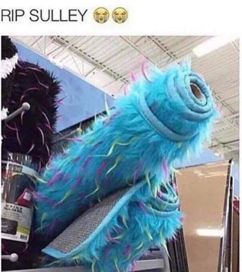 rip-sulley