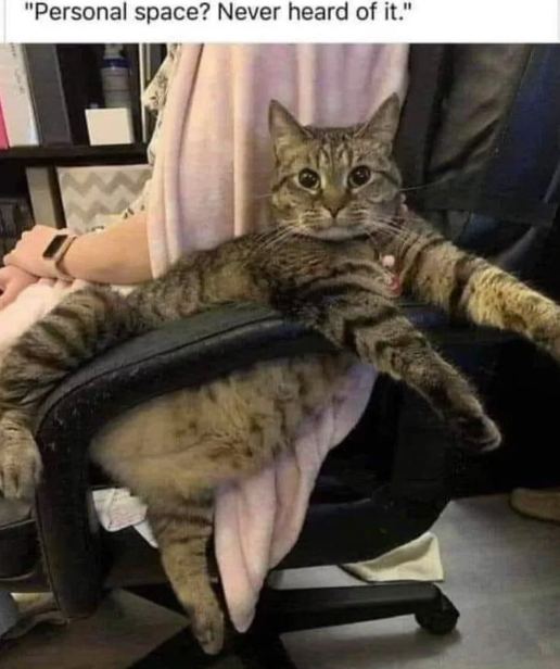 personal-space-never-heard