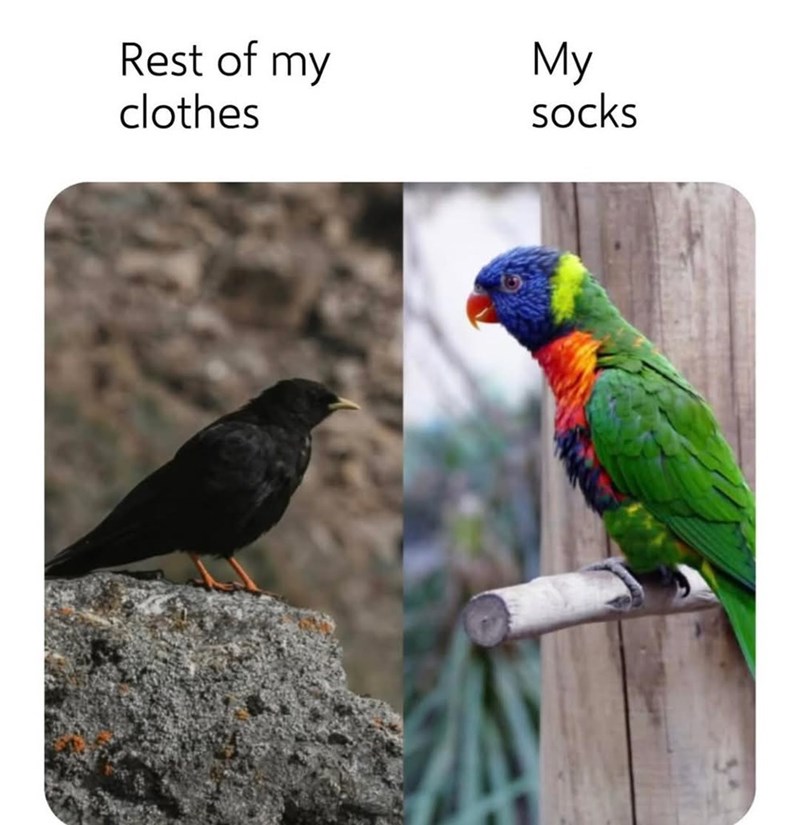 rest-my-clothes-my-socks