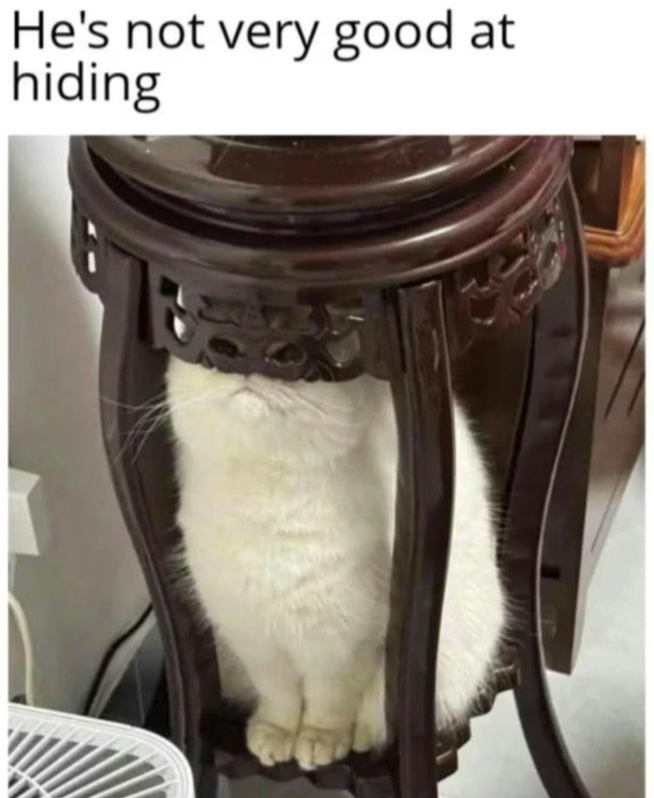 hes-not-very-good-at-hiding