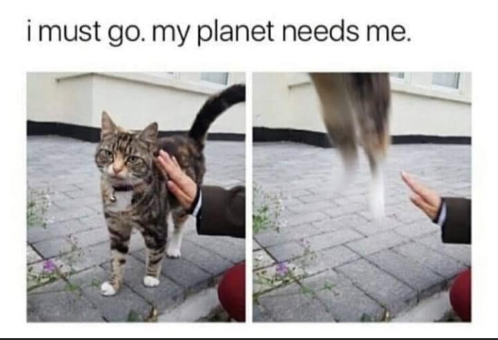 must-go-my-planet-needs