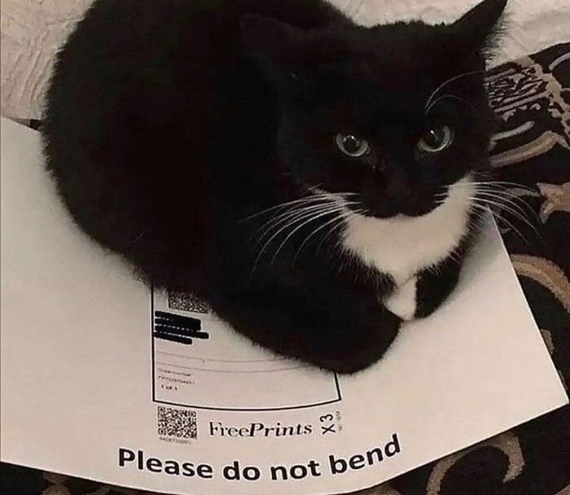freeprints-please-do-not-bend