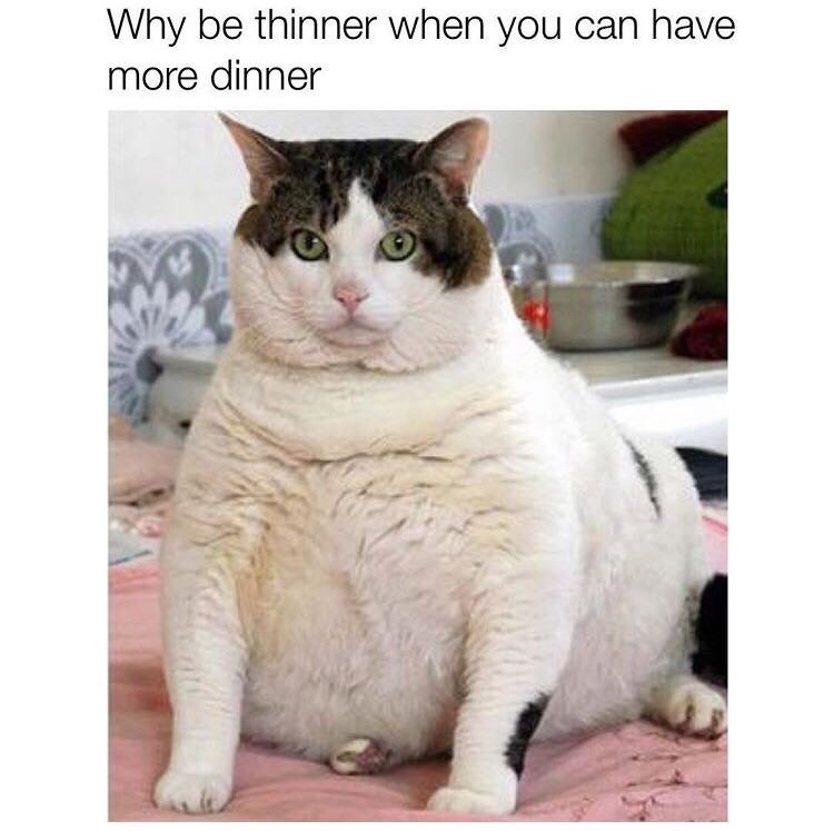 why-be-thinner-can-have-more-dinner