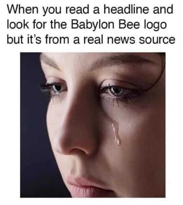 6467d0da00a52.jpeg