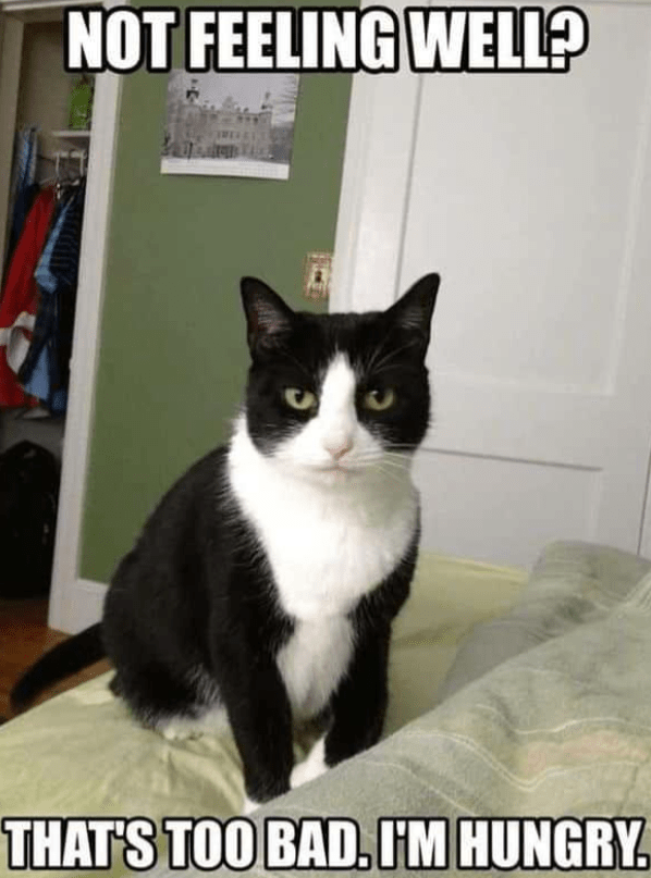 not-feeling-well-s-too-bad-hungry