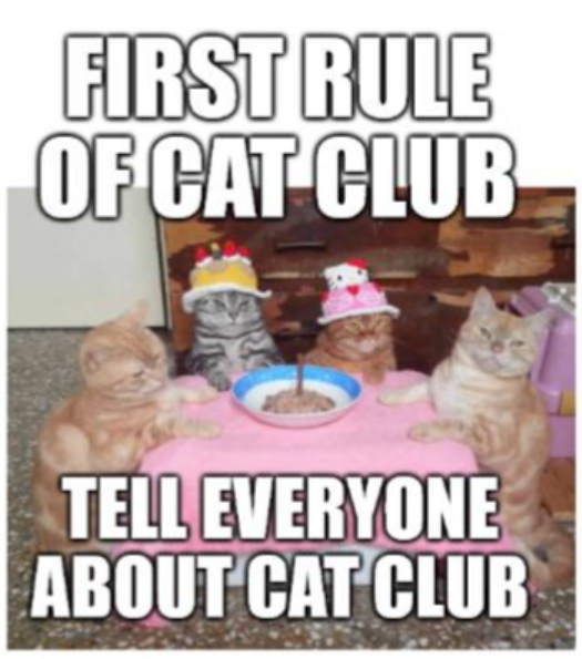 first-rule-cat-club-tell-everyone-about-cat-club