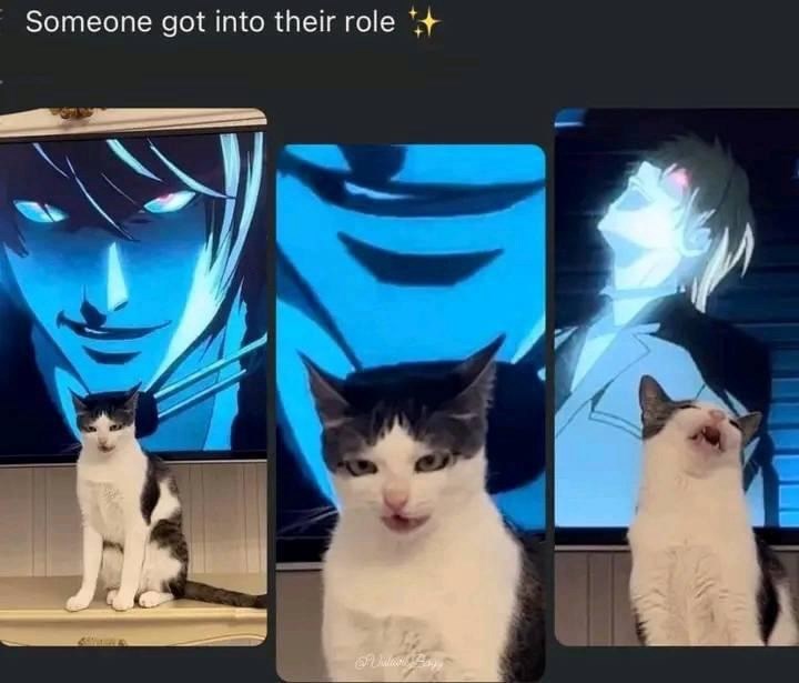 someone-got-into-their-role