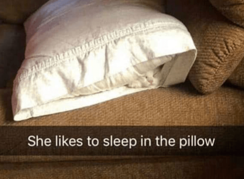 she-likes-sleep-pillow