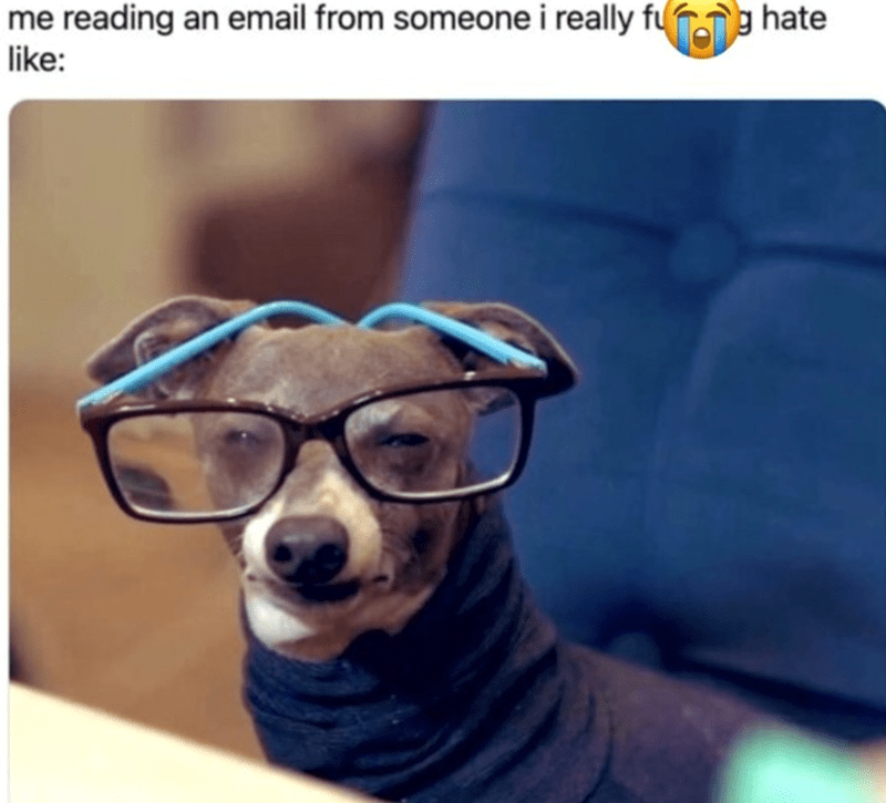 reading-an-email-someone-really-fug-hate-like