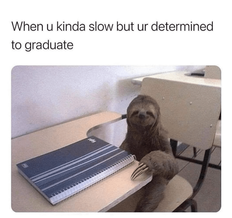 u-kinda-slow-but-ur-determined-graduate