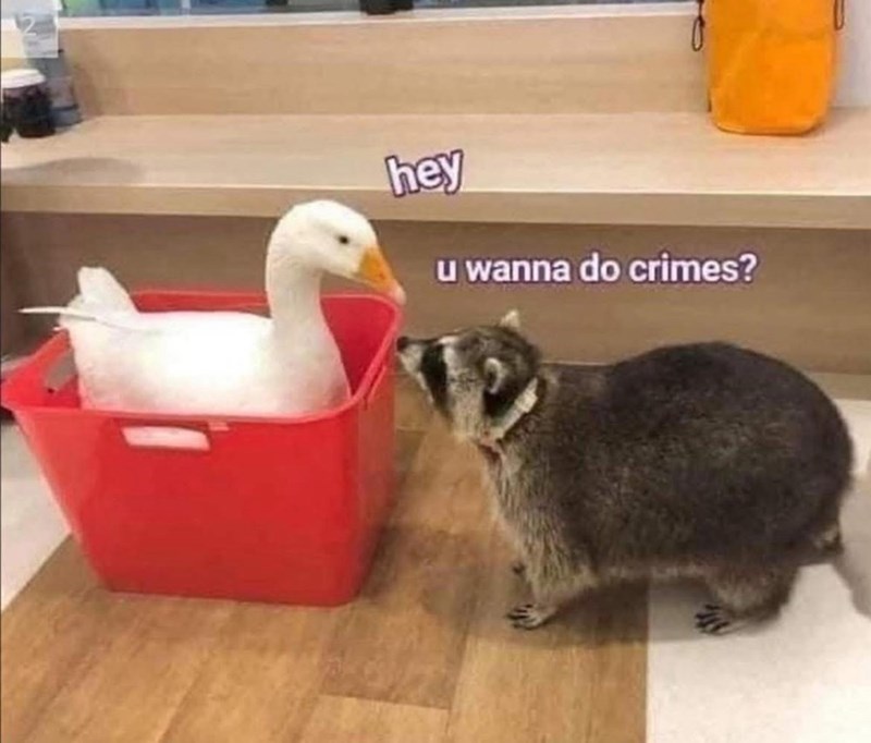 hey-u-wanna-do-crimes