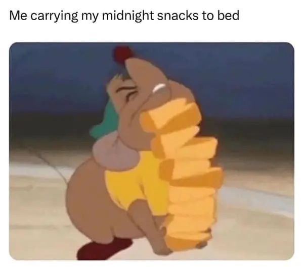 carrying-my-midnight-snacks-bed