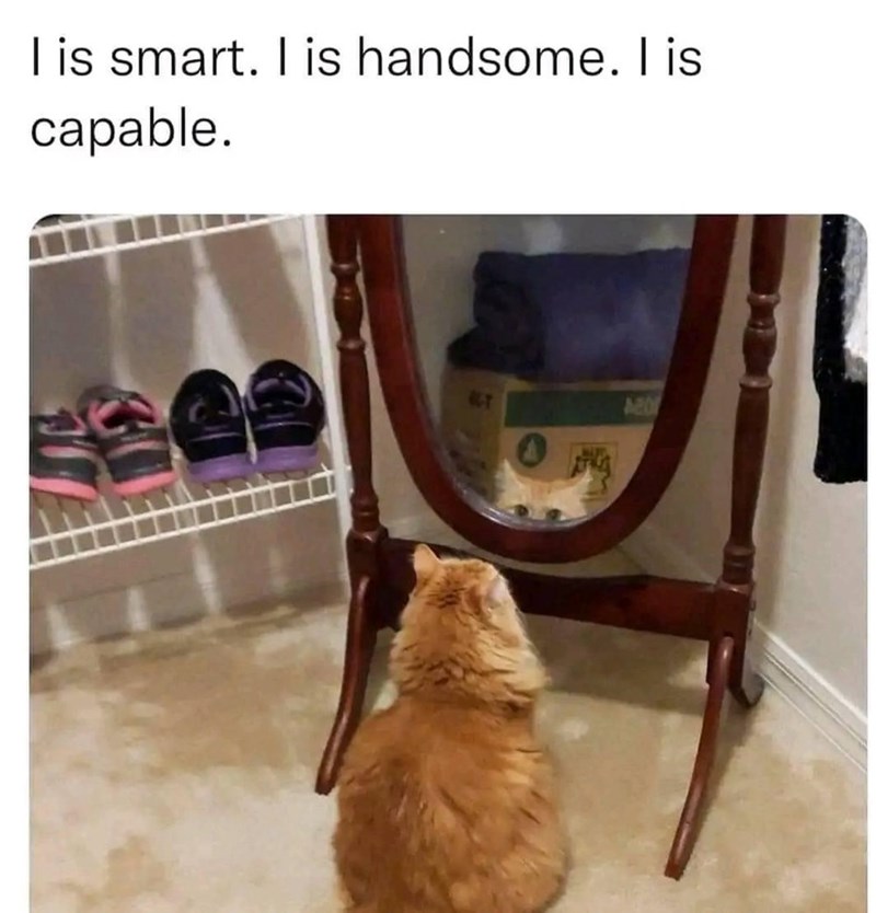 is-smart-is-handsome-is-capable-201